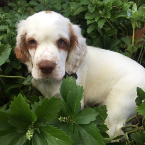 Fundraising Page: Roberta Snow